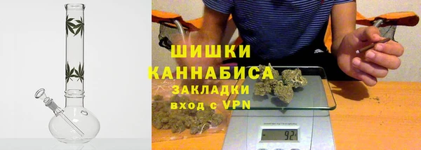 PSILOCYBIN Балабаново